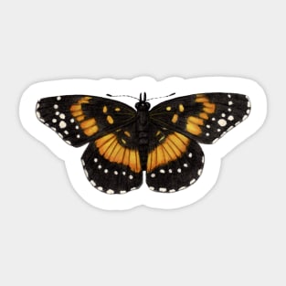 Bordered Patch Sticker